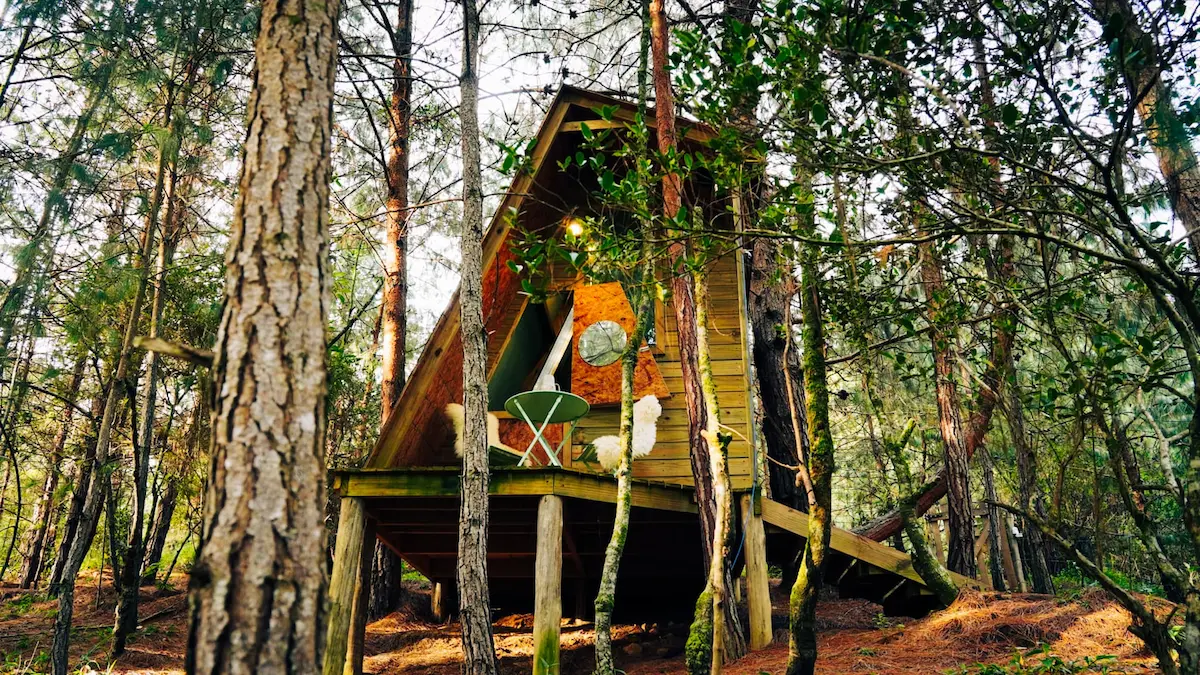 Cabanas do Bosque — Glamping Amanita